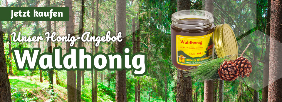 Unsere Honigangebot: Waldhonig